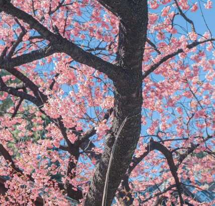 快乐的女孩，在一句话1