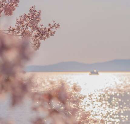 快乐的女孩在一句话2