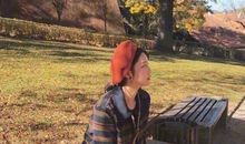 有些开心又有些伤感的句子