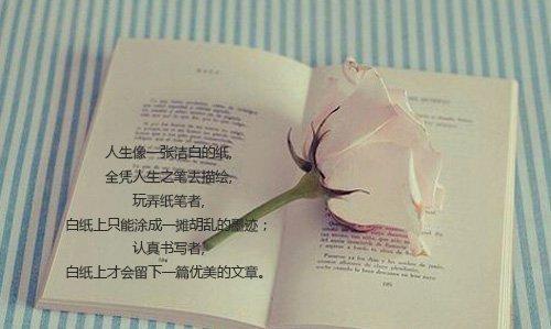 摘自优美的句子