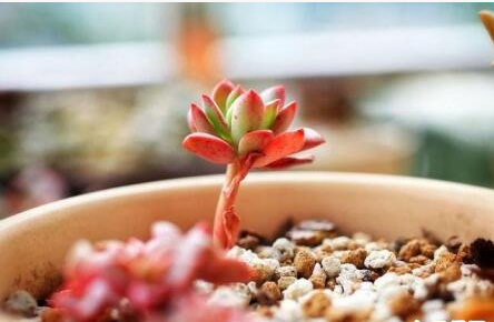 ins风格的日常句子