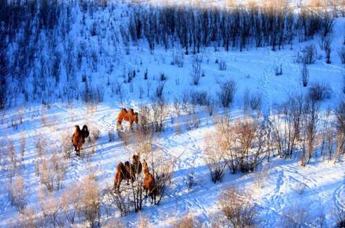 疯狂而快乐的句子