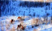 疯疯癫癫开心的句子