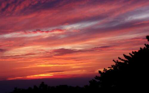 关于日落的美丽文案