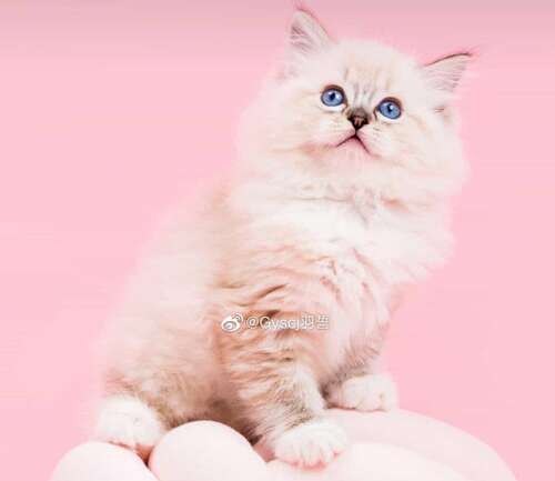 快乐说话的句子集合快乐说话的句子集合