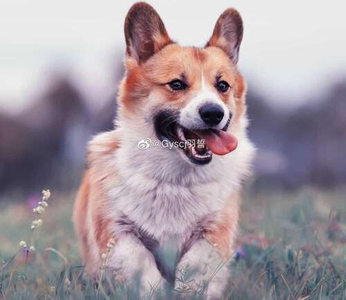 快乐说话的句子集合快乐说话的句子1