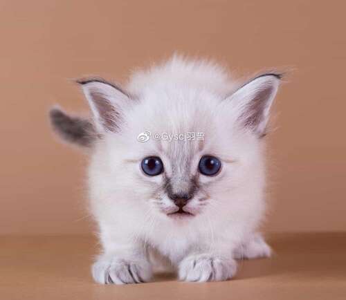 快乐说话的句子集合快乐说话的句子2