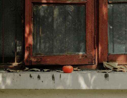 豆音的超温和文案写作