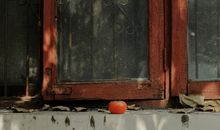 抖音超级温柔的治愈系文案