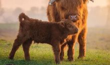 宝宝愿你开心的句子