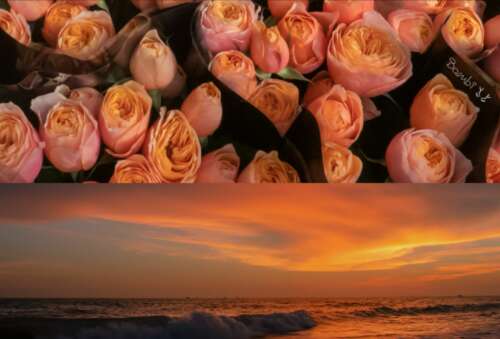 天气转凉，关心短句2