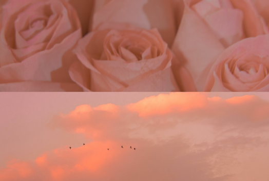 天气转凉，关心短句1