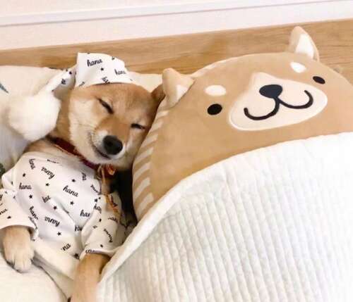 关于开放思想的一句话