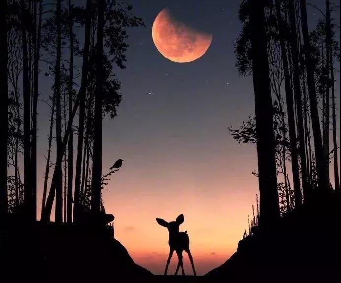 适合情绪低落的句子1