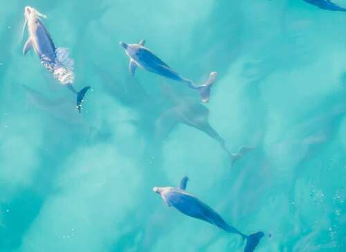 一整套幸福的句子1