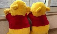 领证发朋友圈搞笑句子