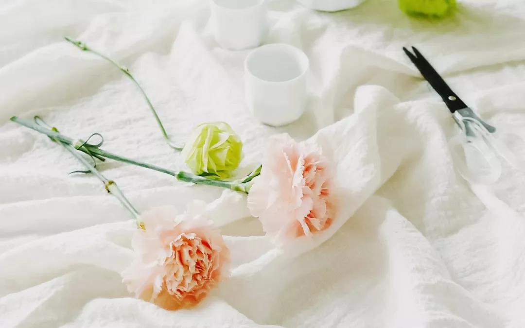 证明你是单身狗的句子2