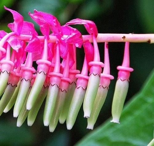 爱你永不后悔的句子2