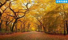 让前妻后悔的句子