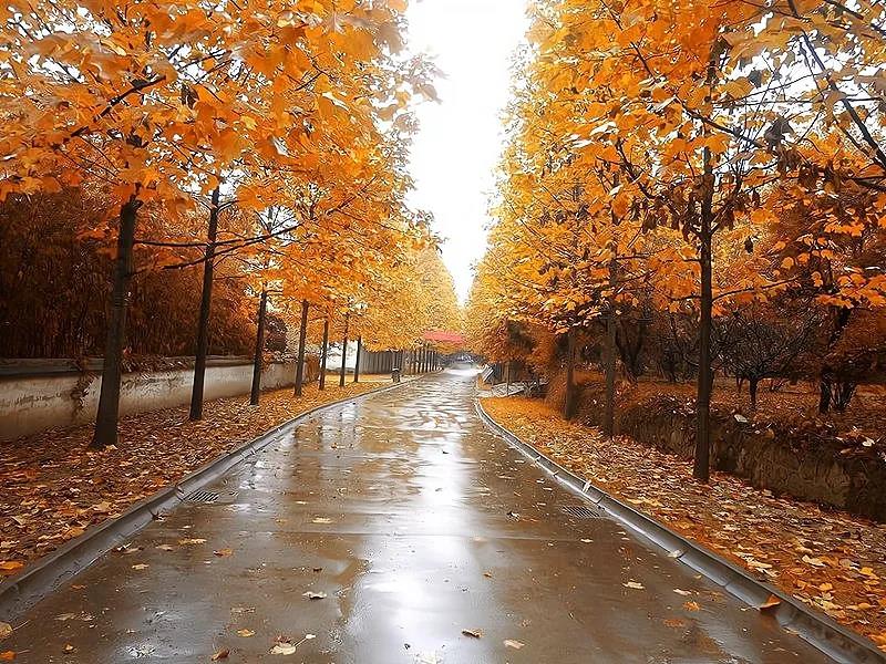 适合抄录的句子