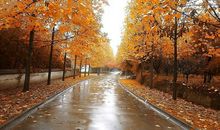 适合抄在摘抄本上的句子