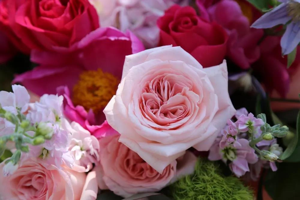 适于摘录的句子2