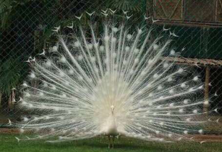 有趣而快乐的句子