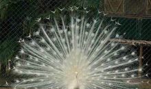 好玩啊开心的句子