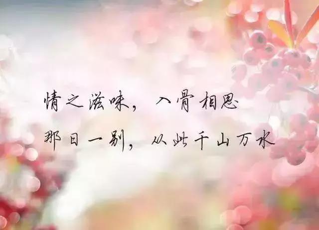 简短的励志句子2