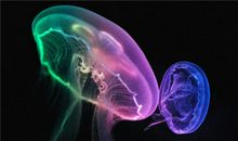 后悔撮合人的句子