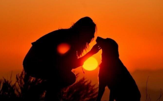 假装幸福的句子