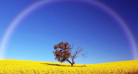 遗憾句2的心理描述