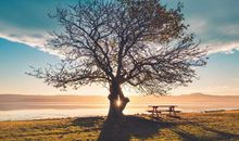 夫妻平淡而幸福的句子