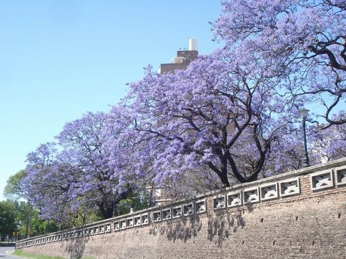 描述遗憾的句子1