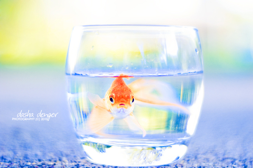 输入错误行后描述遗憾的句子1