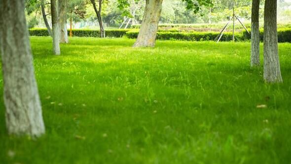 输入错误行后描述遗憾的句子