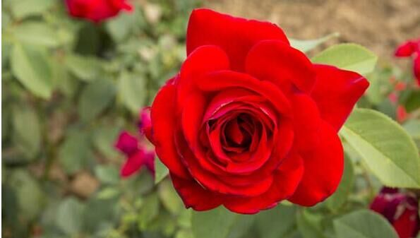 老人后悔这句话