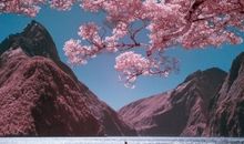 祝对方开心的句子