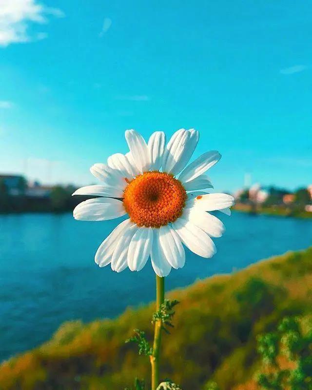 幼儿园老师的问候语1