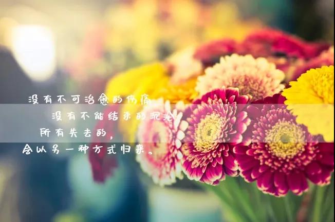 每个句子都深深扎根于流行经典2