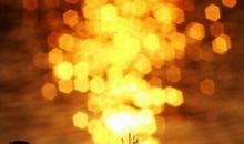 关于春茶长出来开心的句子