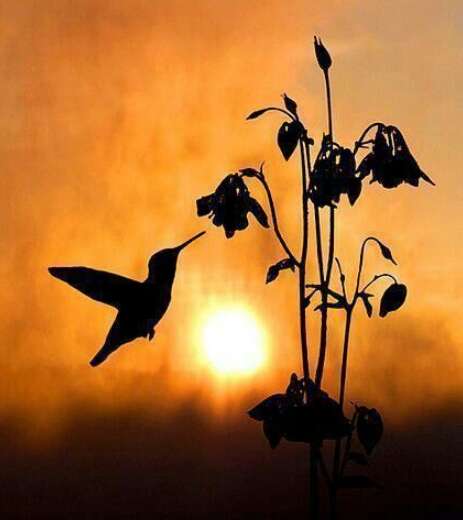 快乐的工作句子