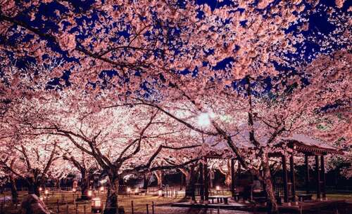 比赚钱更重要的一句话