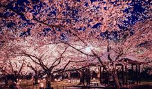 开心比赚钱重要的句子