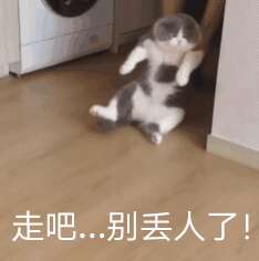 一年的沙雕谐音文案2