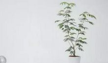 小学毕业哭爆句子