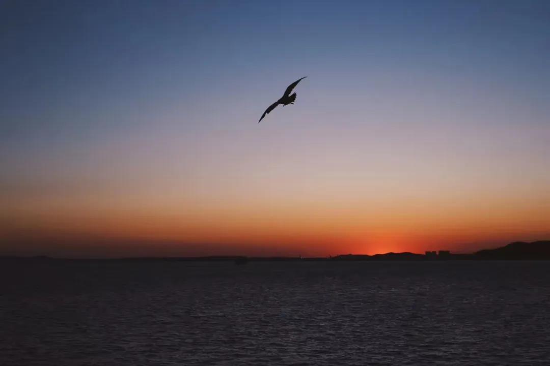 励志短句正能量