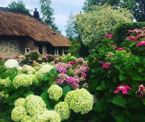 要求自己快乐的句子1