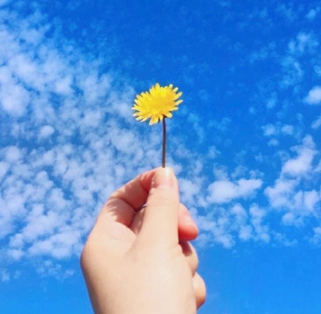 遗憾进入社会的句子