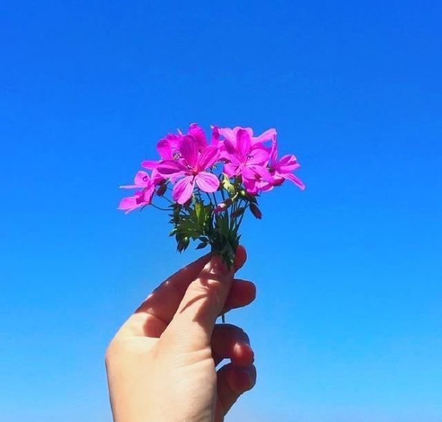 遗憾会议的朋友的句子1